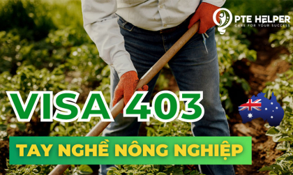 Visa 403 Úc 2024 – Cơ hội làm việc tại Úc cho người lao động quốc tế